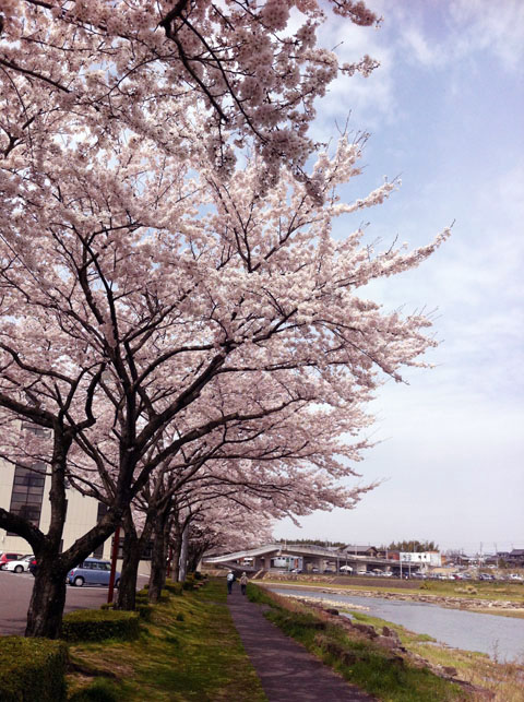 2012.4.13-2.jpg